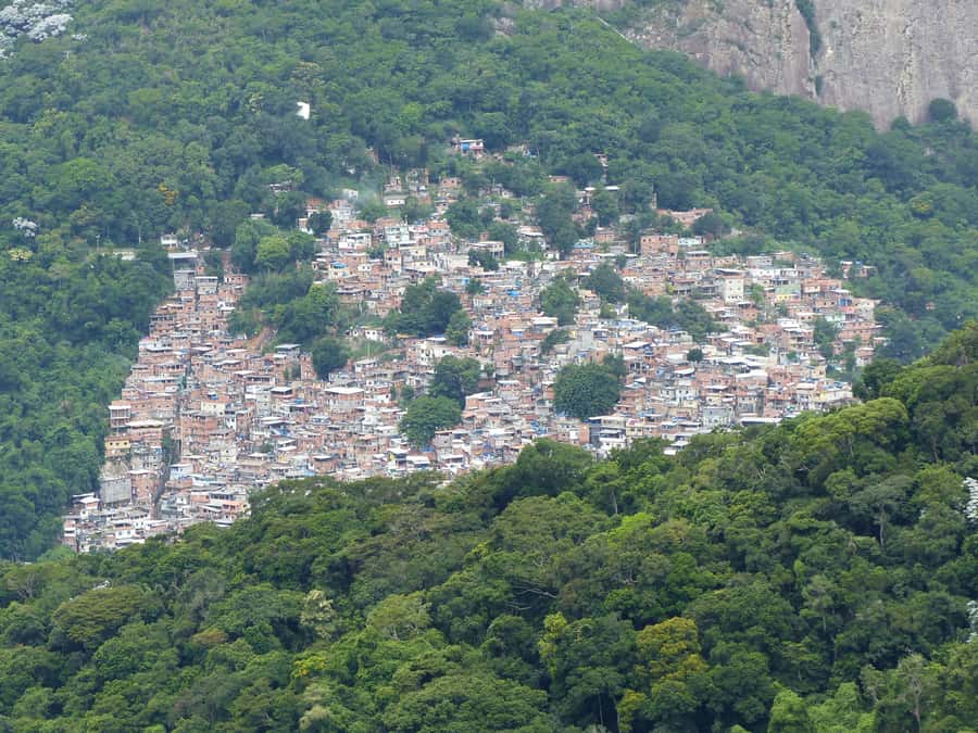Rio de Janeiro: Private Day Tour with lunch - Christ the Redeemer by Corcovado Cogwheel Train: Why the Timing Matters