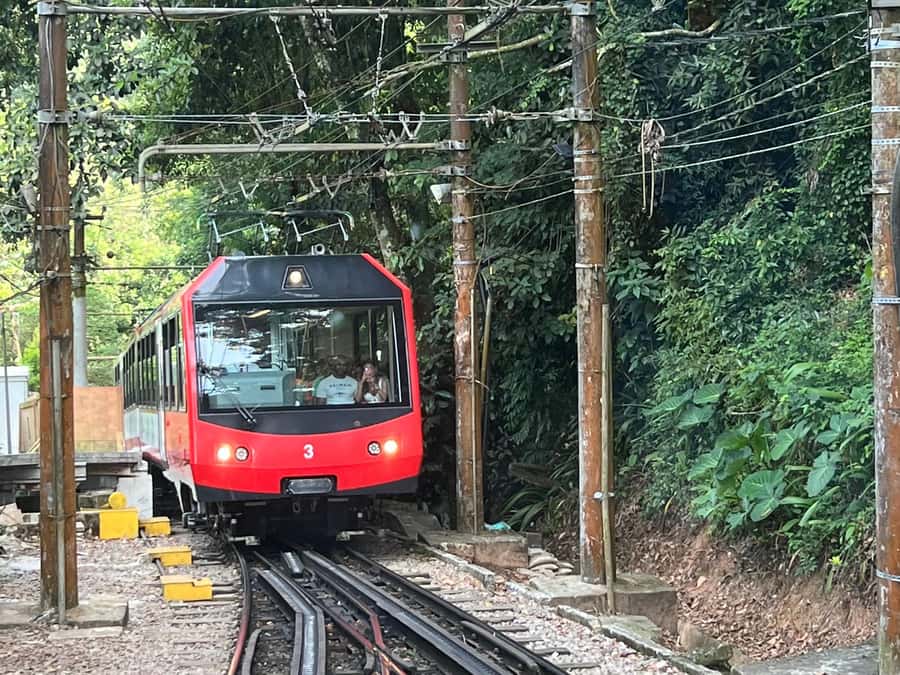 Rio de Janeiro: Private Full-Day Highlights Tour - Why this Rio day feels faster than doing it alone