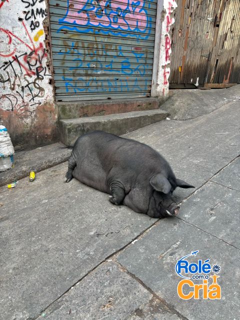 Rio de Janeiro: Rocinha Favela guided tour - Stop by stop: what happens once you’re inside Rocinha