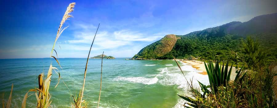 Rio de Janeiro Secluded Beaches: Hike+Swim Prainha & Grumari - Key things that make this tour worth your attention