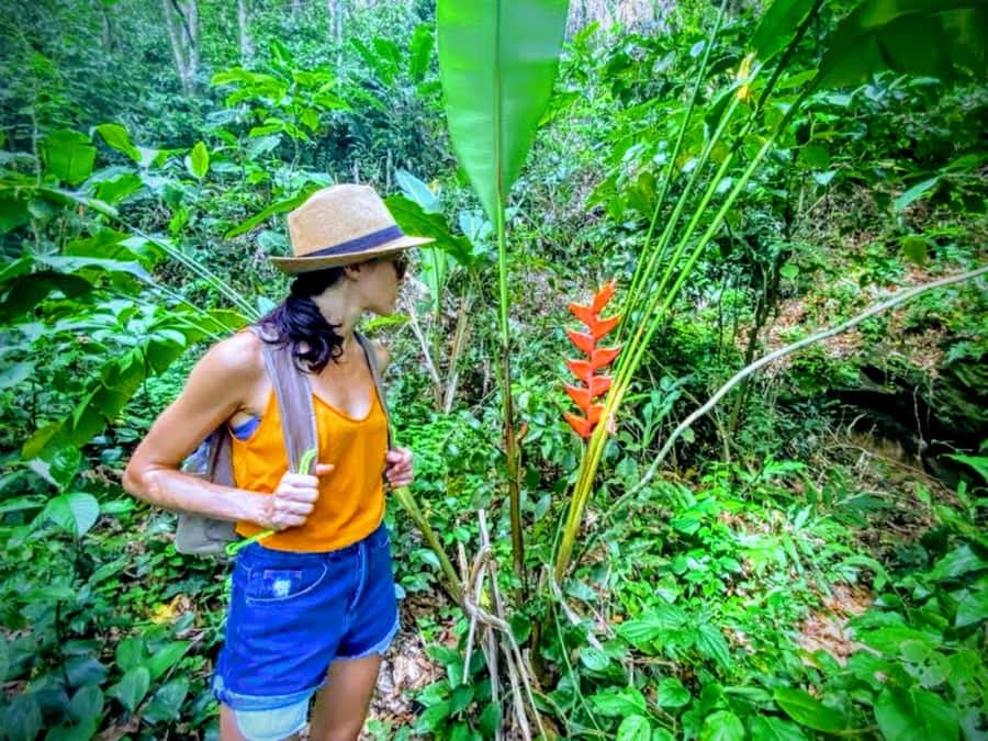 Rio de Janeiro Secluded Beaches: Hike+Swim Prainha & Grumari - Picking the right day: weather, shoes, and the hike reality