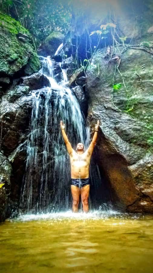 Rio de Janeiro: Tijuca Forest Challenge Hike Full-Day Trip - Why Tijuca Forest feels like Rio’s real escape, even with pickup