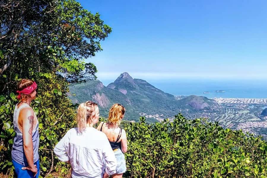 Rio de Janeiro: Tijuca Forest Challenge Hike Full-Day Trip - Morning start: South Zone pickup and a small-group pace you can feel