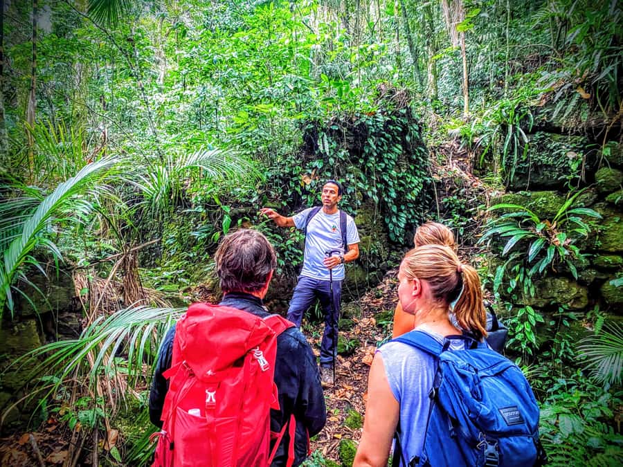 Rio de Janeiro: Tijuca Forest Challenge Hike Full-Day Trip - The big climb: Taquara Hill and the views that make the effort worth it