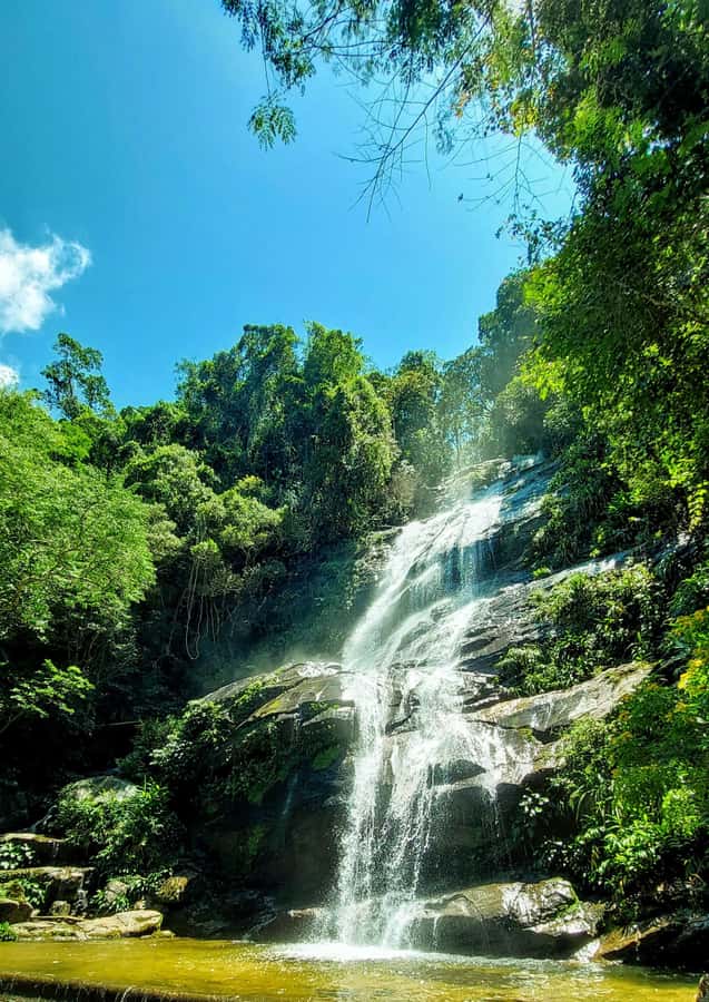 Rio de Janeiro: Tijuca Forest Challenge Hike Full-Day Trip - A rare-feeling trail segment: coffee farm ruins and off-the-main-track rainforest