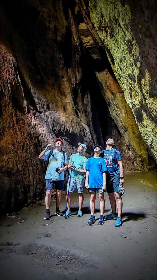 Rio de Janeiro: Tijuca Forest Challenge Hike Full-Day Trip - The fitness math: 10.4 km, 848 m gain, and a real 4 to 5 hour hike