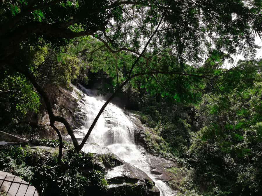 Rio de Janeiro: Tijuca Forest Waterfall of Souls Hike - The pace, the timing, and the small-group feel