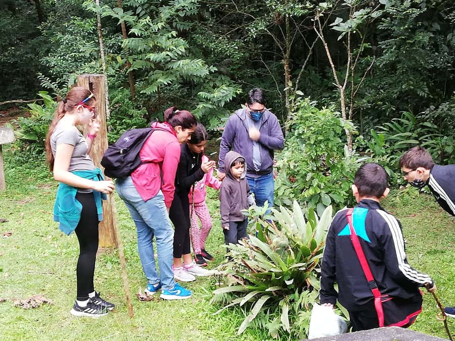 Rio de Janeiro: Tijuca Forest Waterfall of Souls Hike - Where the forest feels like a sanctuary, not a checklist