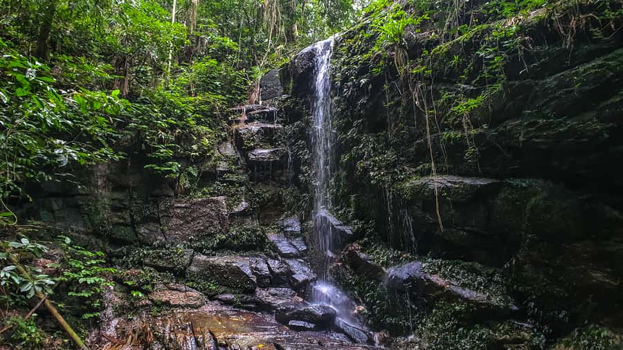 Rio de Janeiro: Tijuca Forest Waterfall of Souls Hike - The opening ritual: breathing, stretches, and heart-centered attention