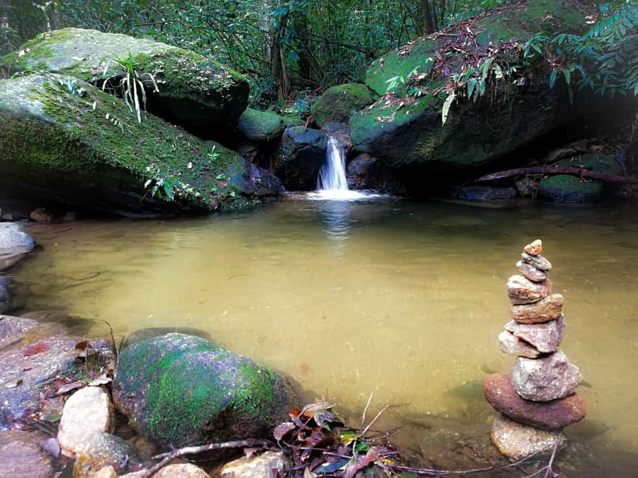 Rio de Janeiro: Tijuca Forest Waterfall of Souls Hike - The return circuit: painters’ escape garden, lake, and Mayrink Chapel