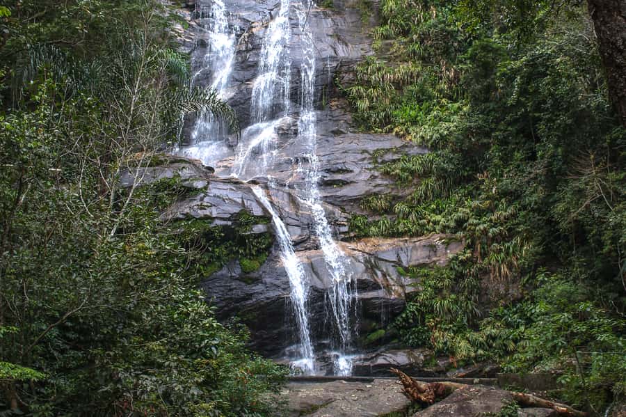 Rio de Janeiro: Tijuca Forest Waterfall of Souls Hike - Meeting Estr. da Cascatinha, 300, and getting up into Tijuca