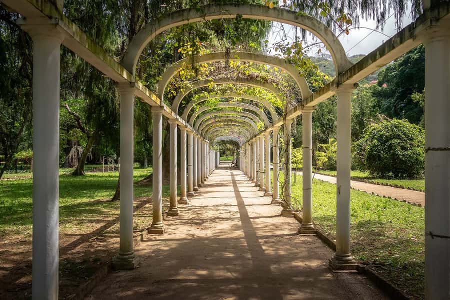Rio de Janeiro: Tijuca National Park & Botanic Garden Tour - Rio’s Tijuca and Botanical Garden in 4 hours: what you’re really buying