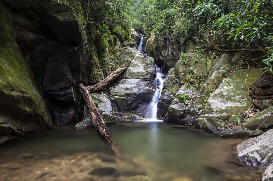 Rio de Janeiro: Tijuca National Park & Botanic Garden Tour - Vista Chinesa: where the views hit fast