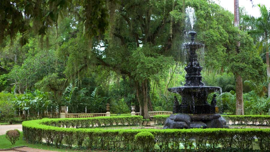 Rio de Janeiro: Tijuca National Park & Botanic Garden Tour - Mayrink Chapel and Taunay Waterfall: two landmarks, different moods