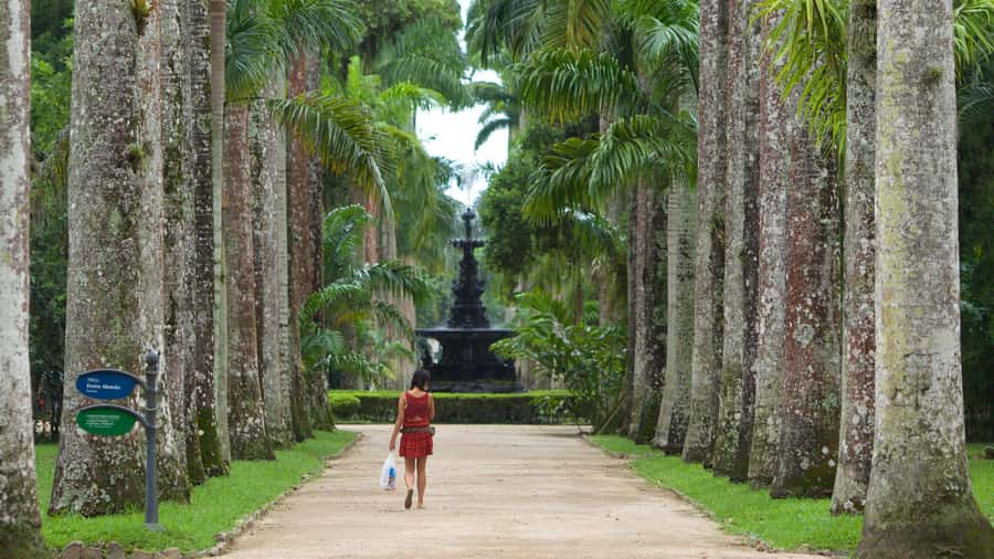 Rio de Janeiro: Tijuca National Park & Botanic Garden Tour - The guide and language mix: what actually makes it easier