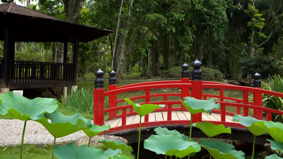 Rio de Janeiro: Tijuca National Park & Botanic Garden Tour - Price and value: $65 for 4 hours, plus one likely extra fee