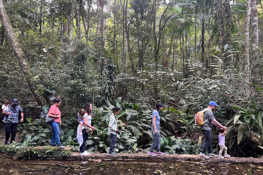 Rio de Janeiro: Tijuca National Park Tour - Key Points Before You Go