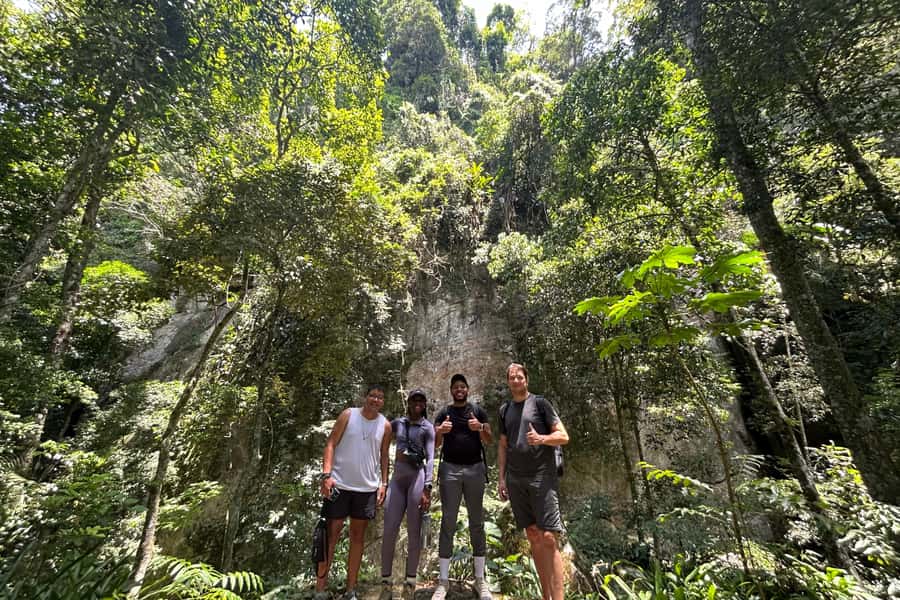 Rio de Janeiro: Tijuca National Park Tour - Price and Value: Is $79 Worth It?