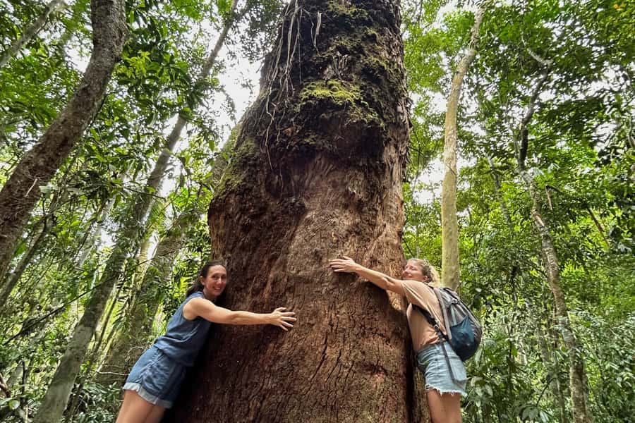 Rio de Janeiro: Tijuca National Park Tour - Cascatinha Taunay and the Waterfalls: Why This Trail Works
