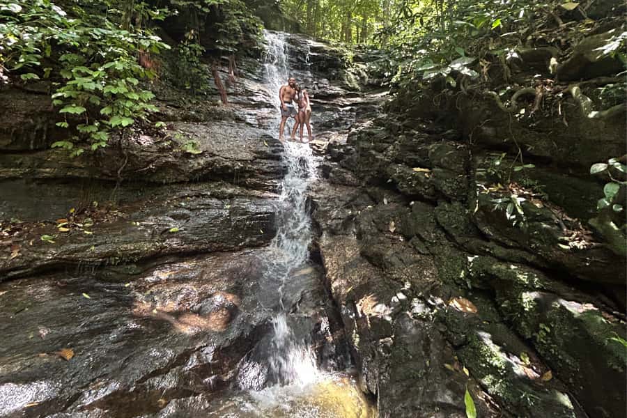 Rio de Janeiro: Tijuca National Park Tour - Center of Visitors and Restaurante A Floresta: Nature With Context