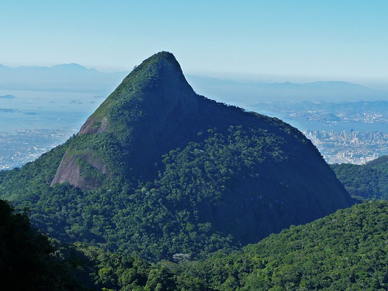 Rio de Janeiro: Tijuca Peak Guided Hike - Key highlights to look forward to