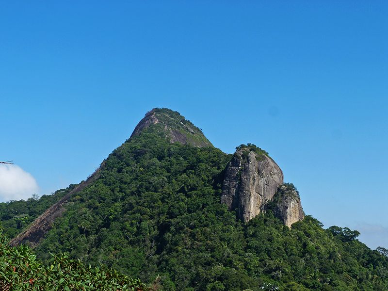 Rio de Janeiro: Tijuca Peak Guided Hike - Cachoeira das Almas Waterfall, a Cool Down That Feels Like Part of the Story
