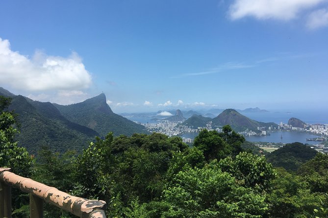 Rio de Janeiro Tijuca Rainforest Hike with Waterfalls and Caves - Pickup, Comfort, and the Drive Into the Park