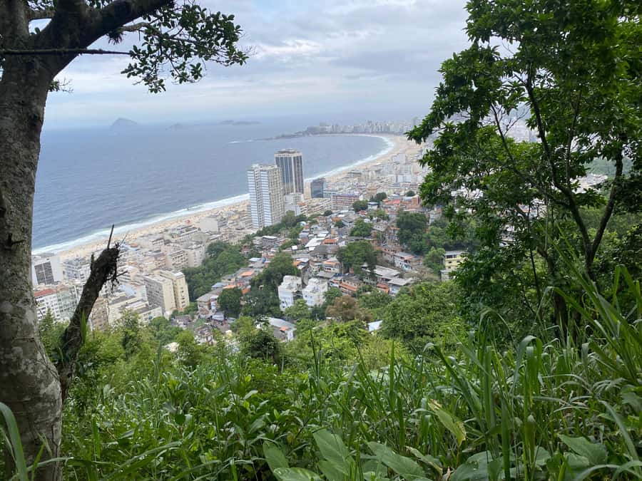 Rio: Favela Tour Imersion in Babilônia and Chapéu Mangueira - Babilônia’s trail: photo stops, street food chances, birds, and bunkers