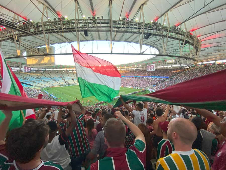 Rio: Fluminense Match at Maracanã with Guide and Ticket - Key highlights you should care about