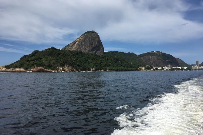 Rio From the Sea: Guanabara Bay Cruise with Optional Barbecue Lunch - Who should book this cruise, and who should skip it