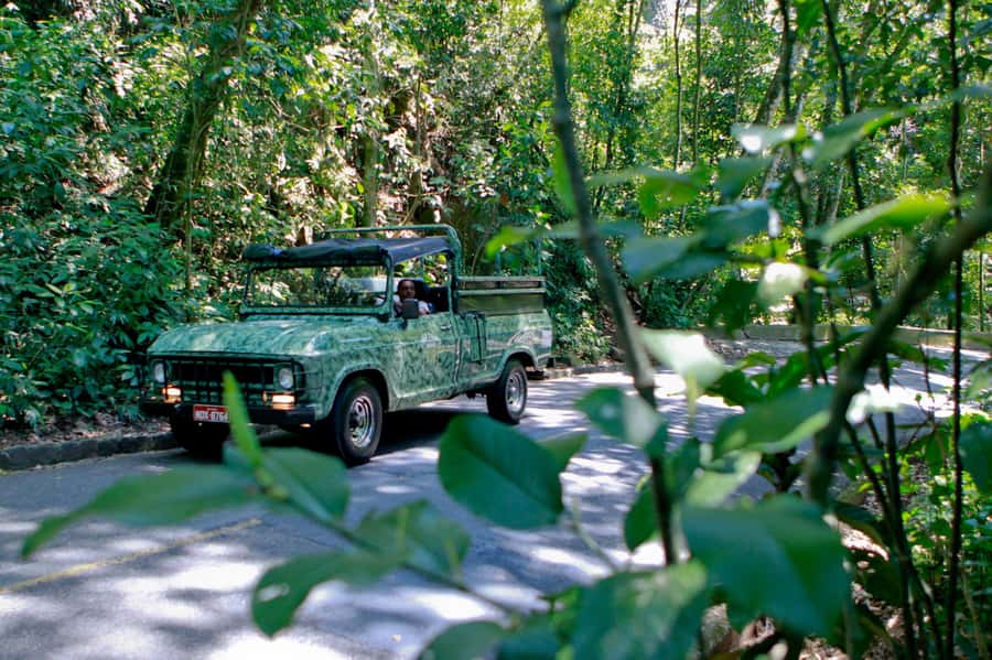 Rio: Half-Day Jeep Tour at Floresta da Tijuca - Riding Tijuca in an open Jeep: why this format works