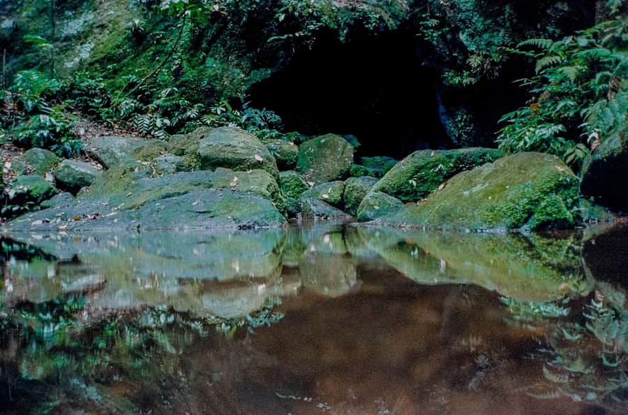 Rio: Half-Day Jeep Tour at Floresta da Tijuca - Cascatinha Visconde de Taunay waterfall: the dip and the photos