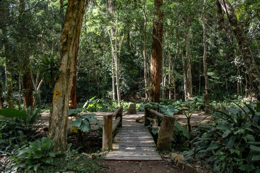Rio: Half-Day Jeep Tour at Floresta da Tijuca - The second trail, waterfalls sounds, and restroom timing
