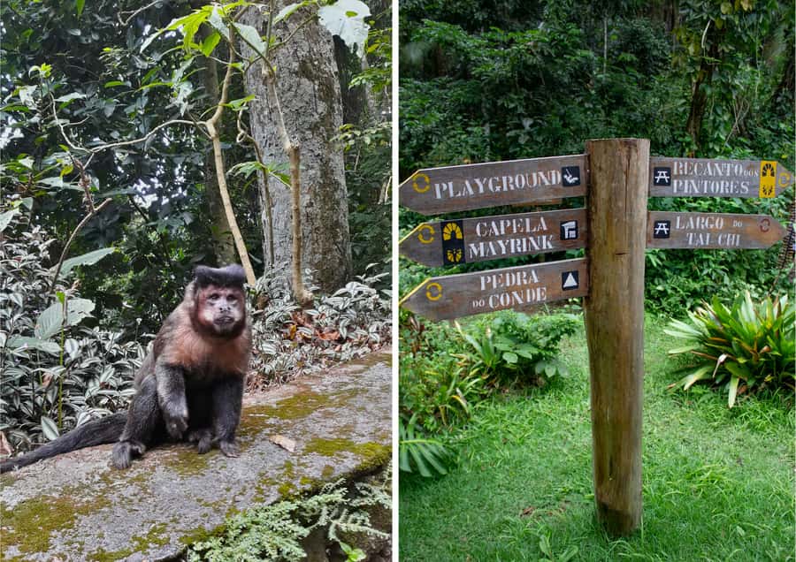 Rio: Half-Day Jeep Tour at Floresta da Tijuca - São Conrado Beach and the hand-glider finale