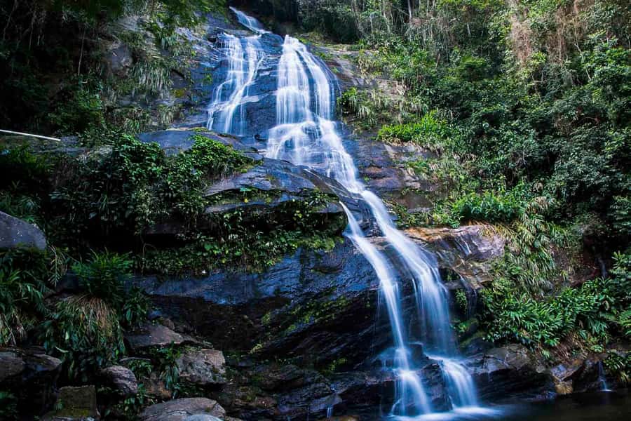 Rio: Half-Day Jeep Tour at Floresta da Tijuca - Wildlife sounds and what to expect when you don’t see everything