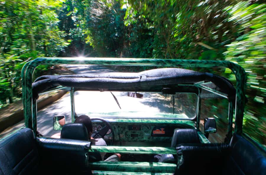 Rio: Half-Day Jeep Tour at Floresta da Tijuca - What to bring and how to dress for a chilly jungle