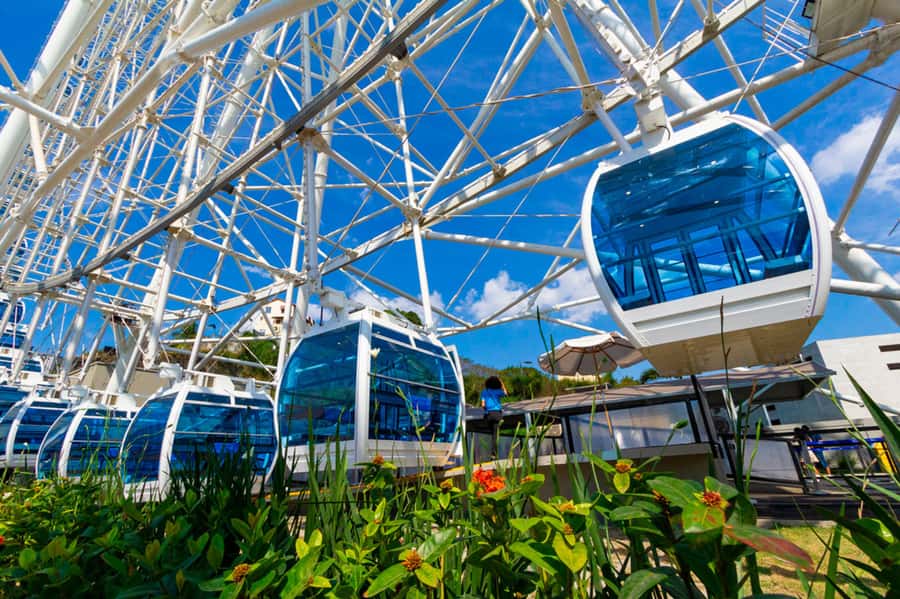 Rio: Museum of Tomorrow, Yup Star & Olympic Boulevard - Entering the Museum of Tomorrow: tech, questions, and real photo opportunities