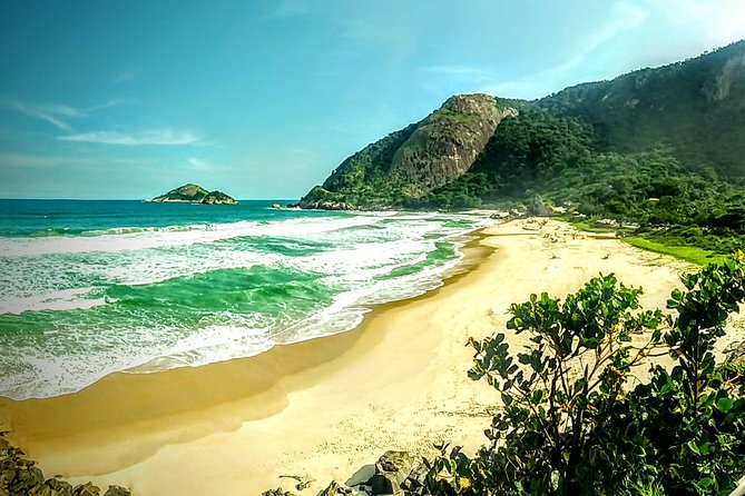 Rio Nature Secrets - The Eco Citytour (small group or private) - Why This Eco Citytour Works as a Best-Of Rio Nature Day