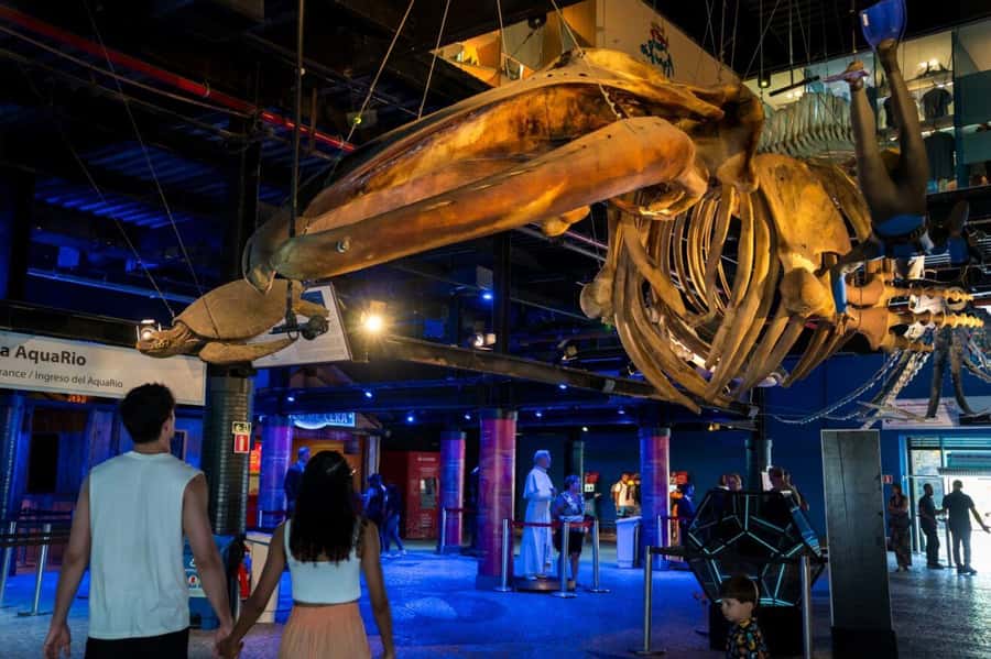 Rio: Olympic Boulevard, AquaRio and Museum of Tomorrow Tour - Price and value: is $49 a good deal for what you get?
