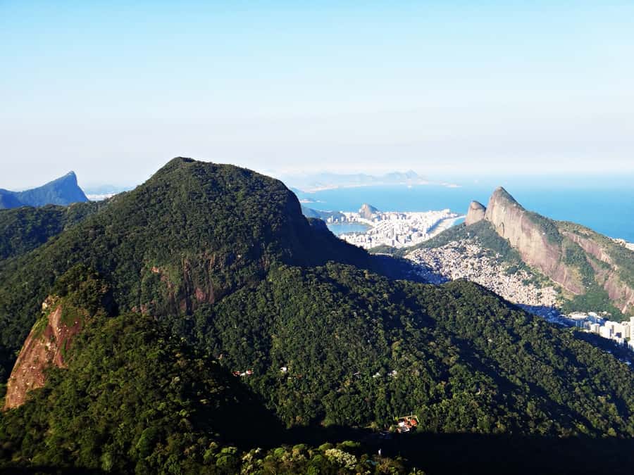 Rio: Pedra Bonita 4-Hour Hike with Free Flight Ramp Visit - Walking the Atlantic Forest: Easy for the Trail, Tricky for the Feet