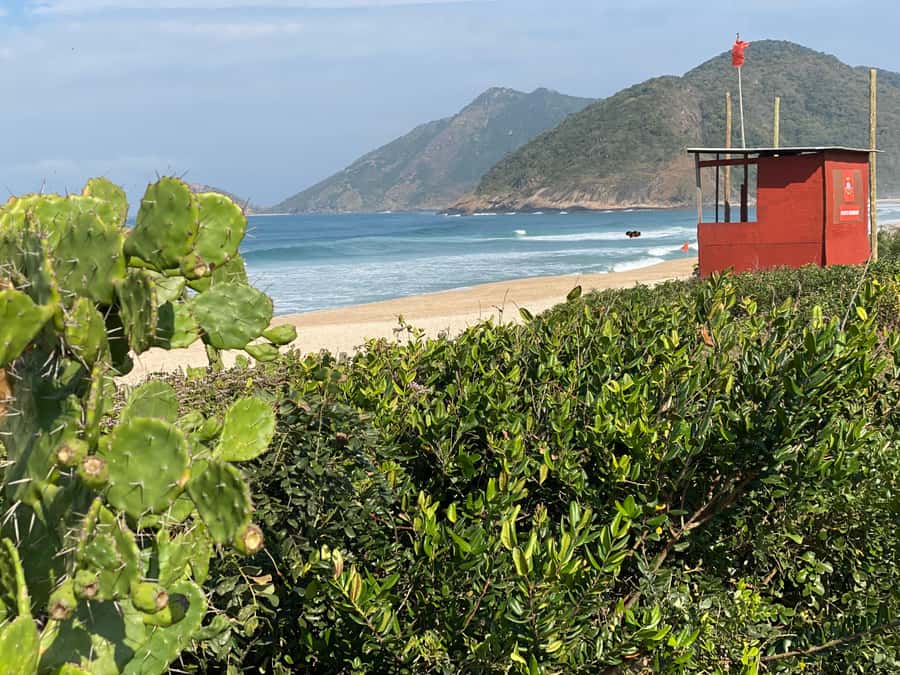 Rio: Pedra do Telégrafo Hiking & Relax in a Wild Beach - Who should book Pedra do Telégrafo plus Grumari