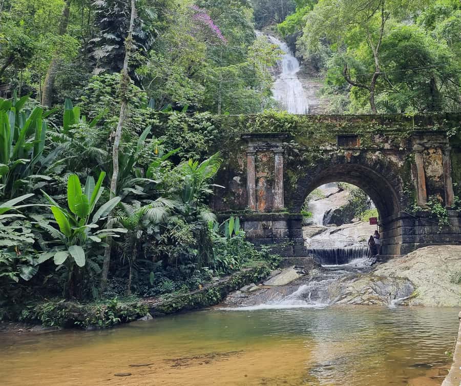 Rio: Private Tour 5 Hours Customized Tour With a Local Guide - Wildlife Viewing and Weekday Strategy