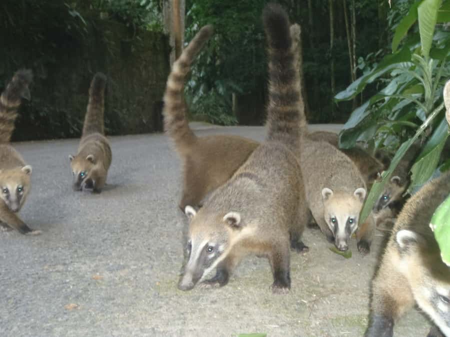 Rio: Private Tour 5 Hours Customized Tour With a Local Guide - Price and Value for a 5-Hour Private Rio Tour