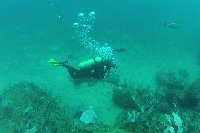 Rio's Best Dive Experience All Inclusive Scuba Diving Package! - Logistics: Time on the Bus, Pickup Details, and What to Pack