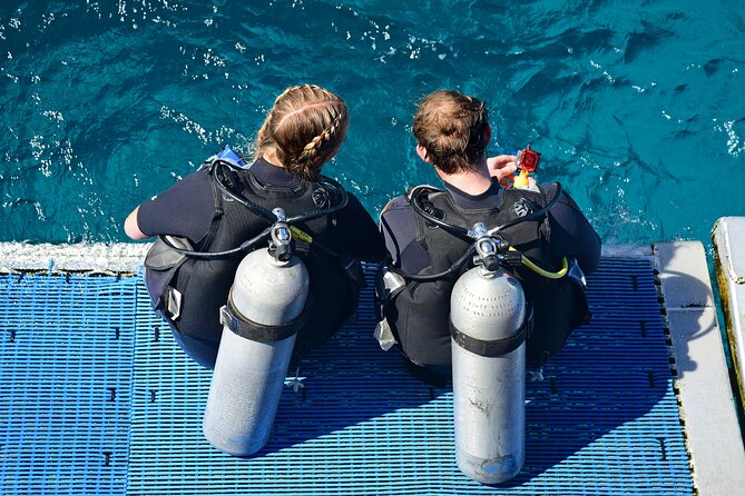 Rio's Best Dive Experience All Inclusive Scuba Diving Package! - Who This Trip Suits (and Who Should Think Twice)