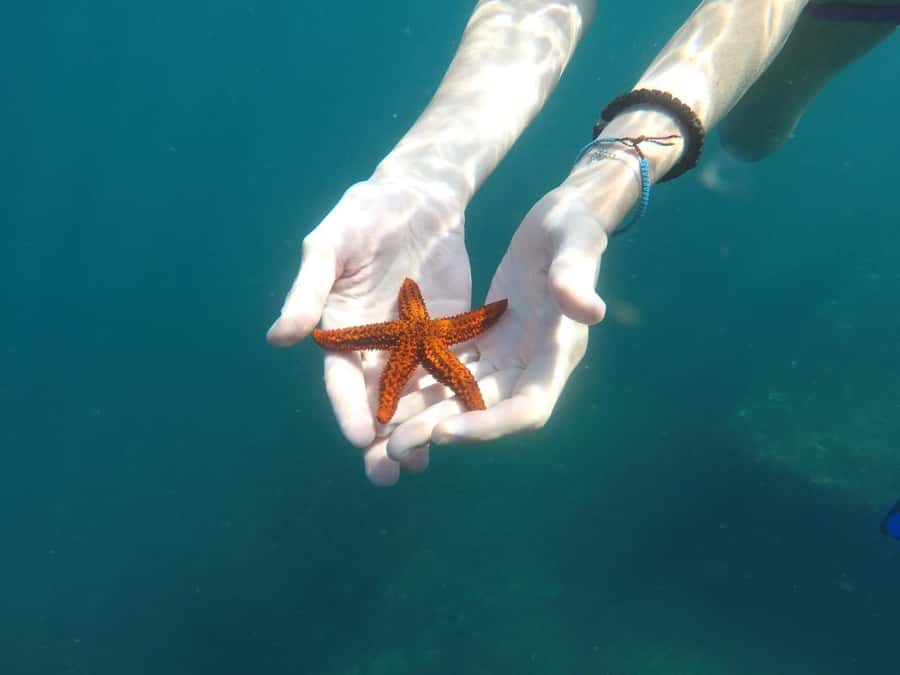 Rio: Snorkel & Swim with Turtles Tour at Tijuca Islands - The ride back: staying on schedule without losing momentum