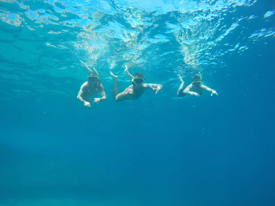 Rio: Snorkel & Swim with Turtles Tour at Tijuca Islands - Getting started at Ilha da Coroa 2, Barra da Tijuca (and why location matters)