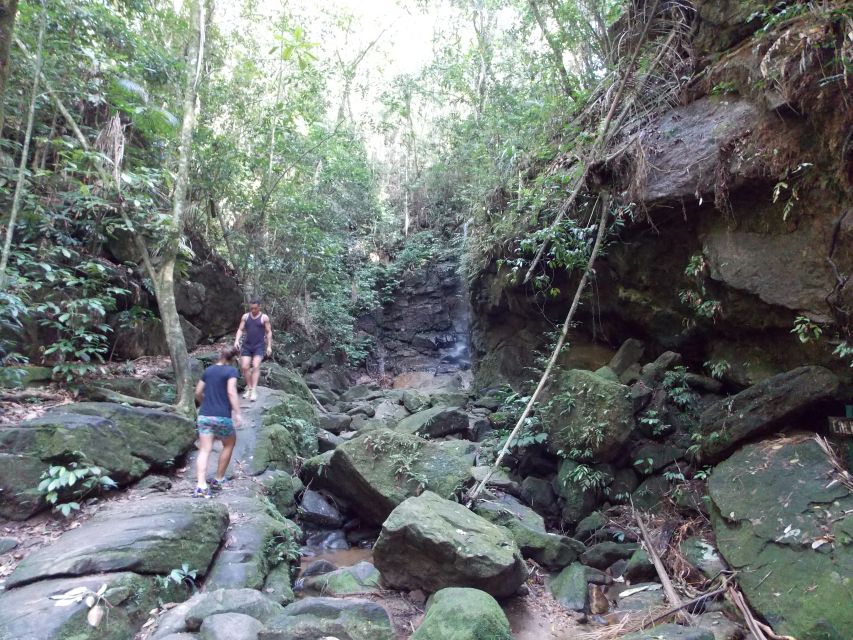 Rio: Tijuca Forest & Horto Waterfalls Circuit Tour - Key things that make this hike worth your time