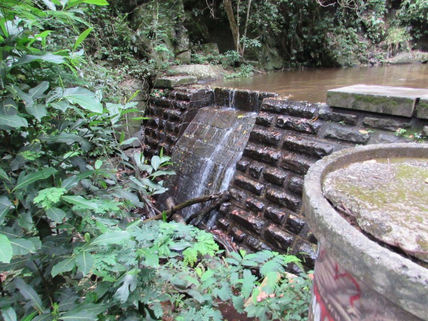 Rio: Tijuca Forest & Horto Waterfalls Circuit Tour - Cachoeira do Chuveiro: the natural shower you can schedule your day around