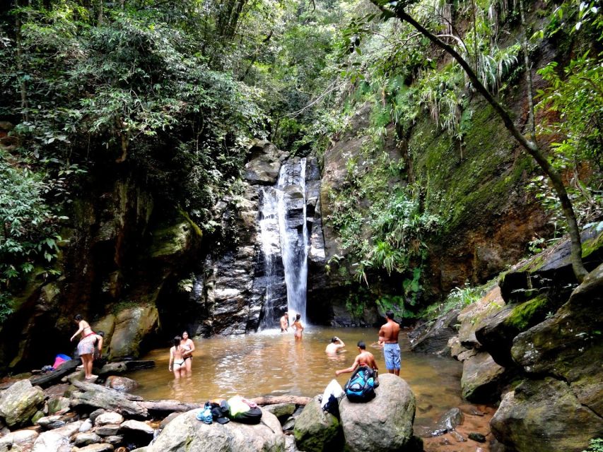 Rio: Tijuca Forest & Horto Waterfalls Circuit Tour - Jungle details you can spot with the right attitude